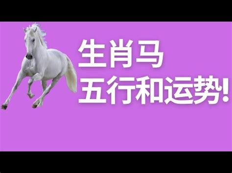 馬五行|屬馬的五行屬性分析：揭示馬年出生者的特質與運勢